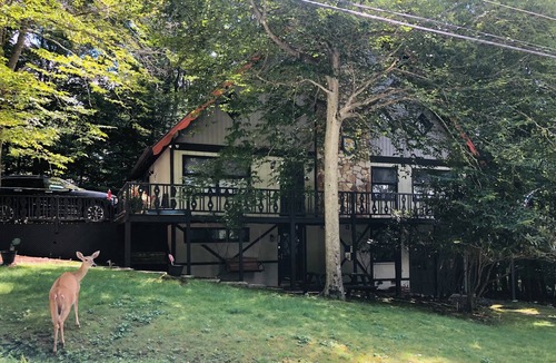 Beech Mountain House | Beech Gem PRIVATE GUEST SUITE nestled on Beech