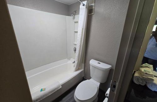 Violetville Hotel | Bloomfield Oasis