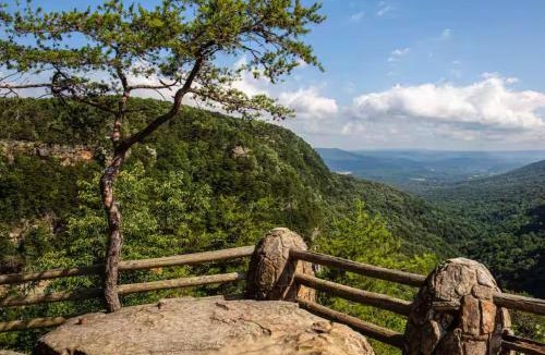 Mentone House | Blueberry Farm Cottage, Hot Tub, Creek, Game Room