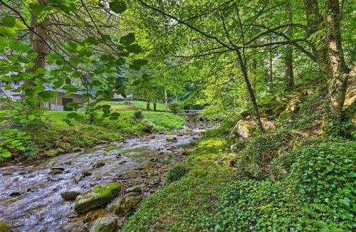 Roan Mountain House | Bring Your Pet! Roan Mtn Cabin w/On-Site Creek