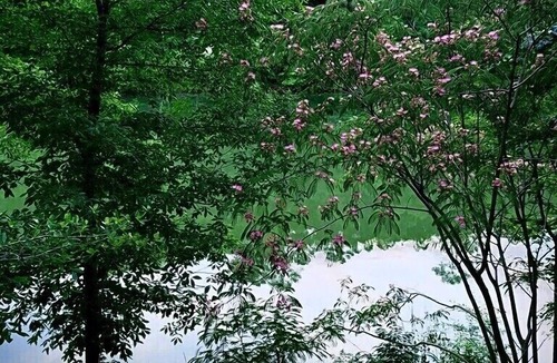 Double Springs Cabin | Cabin on the lake in Bankhead national forest