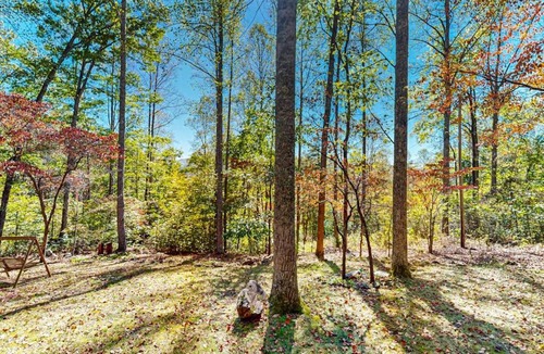 Sylva House | Carrie’s Cabin