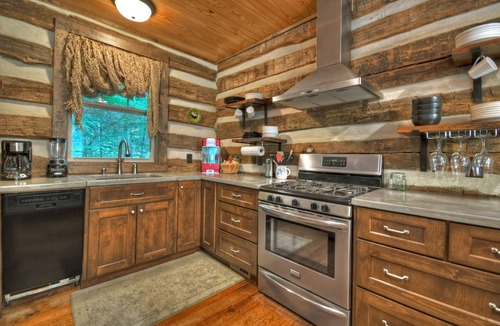 Ellijay Cabin | Cartecay Hideaway - Real log cabin on loud rapids