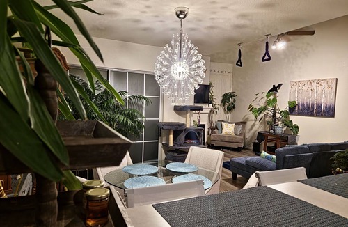 Westminster House | Casa de gato