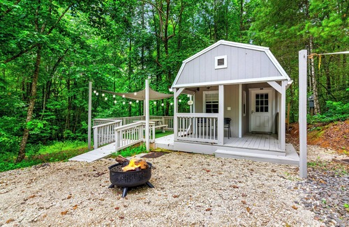 Ellijay House | Charming bungalow Tiny Home, Fire pit, Close to town, Dog Friendly, Mountain Air