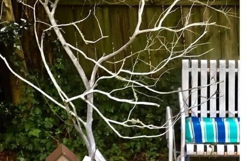 Columbia Cottage | Charming cottage in great neighborhood.close to downtown, fort and university
