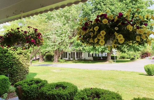 Edinburg Cottage | Charming, Parkview Cottage, King bed, 1 mi to I-81