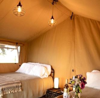 Currie Other | Charming Vineyard Glamping Tent with Wine Tastings near Lake Shetek in Currie, Minnesota