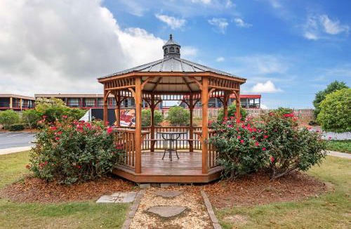Opelika Hotel | Comfort Inn Opelika - Auburn