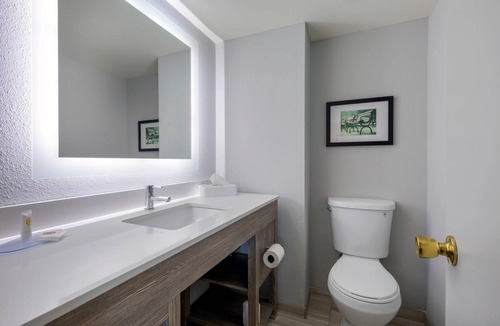 Alexandria Hotel | Comfort Inn & Suites Alexandria West