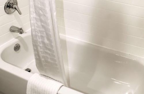 Scottsboro Hotel | Comfort Inn & Suites Near Lake Guntersville