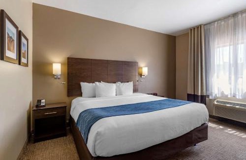 Waterloo Hotel | Comfort Inn & Suites Waterloo - Cedar Falls