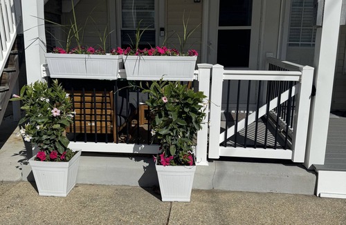 Gold Coast Condo | Coziest place on the island! 2br 1.5ba & 1.5 blocks from the beach!