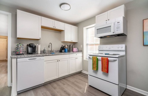 Columbia Apartment | Cozy 1 bed APT near Five Points! Bring your pets!