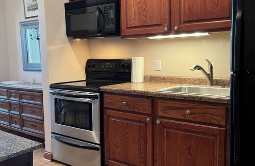 Wabasha Condo | Cozy apartment with balcony that overlooks downtown Wabasha!