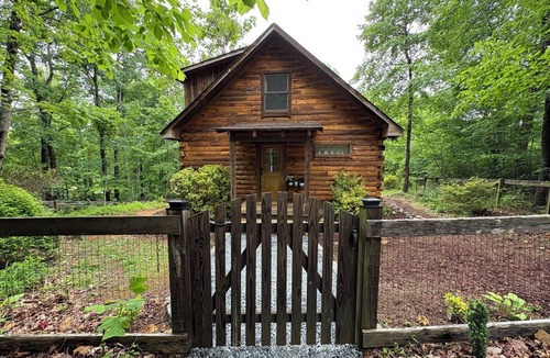 Dyke Cabin | Cozy Cabin 2 bedrooms w/Hot Tub & EV Charger near Shenandoah