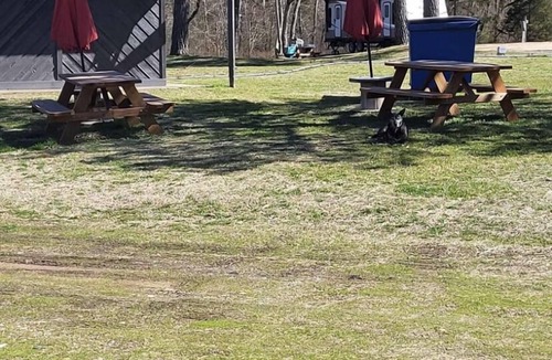 Proctor Cabin | Cozy Cabin, floating, illinois river, golfing