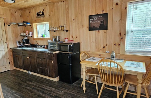 Butler Cabin | Cozy cabin in the woods on a beautiful Christmas Tree/Events Farm.