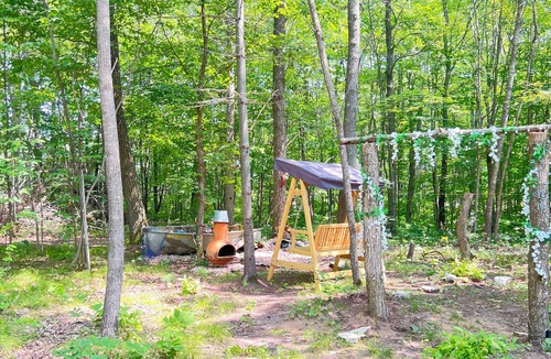 Webster Cabin | Cozy Cabin