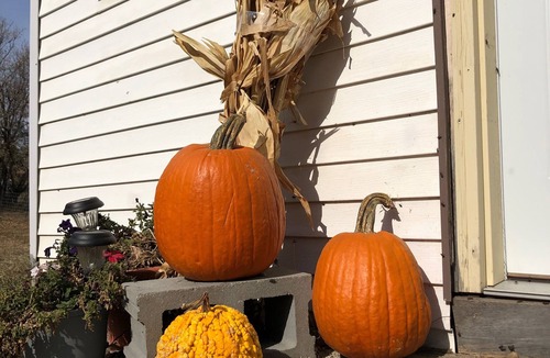 Wessington Springs Cottage | Cozy Cottage just right for your visit to Wess Springs, sleeps 4