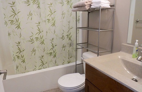Mason City Condo | Cozy updated Condo. Close to shopping and restaurants.