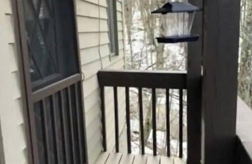 Beech Mountain Condo | Creekside 2min to slopes.quiet & private location