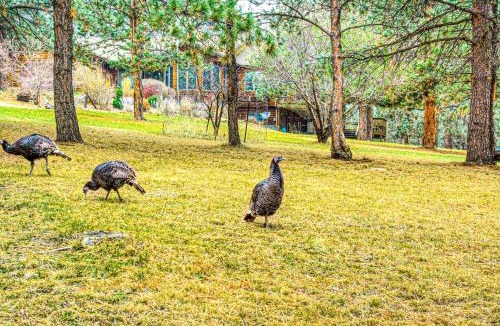 Blackhawk House | Crooked Canyon Lodge