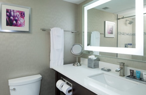 Burr Ridge Hotel | Crowne Plaza Chicago SW - Burr Ridge by IHG