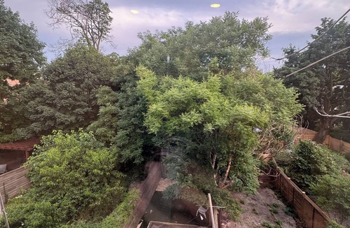 Crown Heights House | Cuzzy Garden Room! 7m to subway, 20m to Manhattan