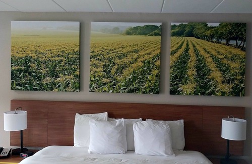 Vineland Hotel | Days Inn by Wyndham Vineland