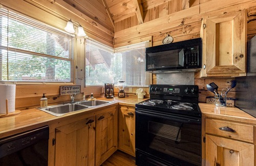 Sevierville House | Dog Friendly Mtn Studio Cabin, Sleeps 2, Hot Tub