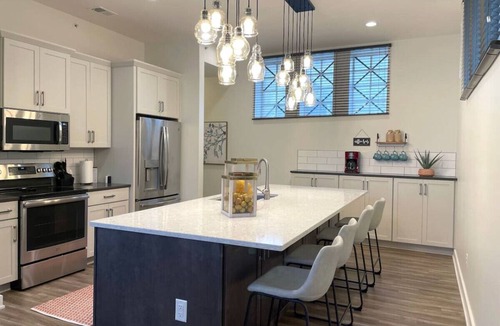 Downtown Lincoln Apartment | Downtown Condo w/Roof Deck- Grand Manse Pavilion