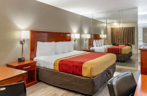 Charlottesville Hotel | Econo Lodge Charlottesville North - University Area