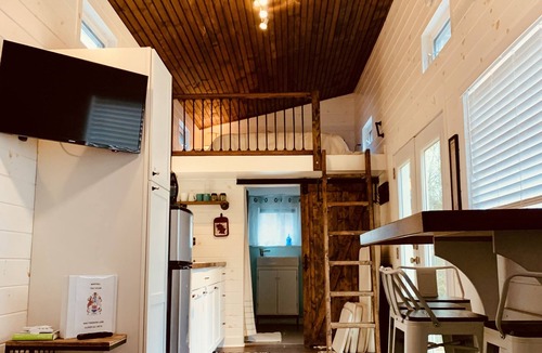 Clover Cabin | Enjoy Quiet and tranquility 2 private wooded acres!