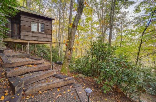 Boone House | Families Welcome! Blue Ridge Cabin w/Fire Pit