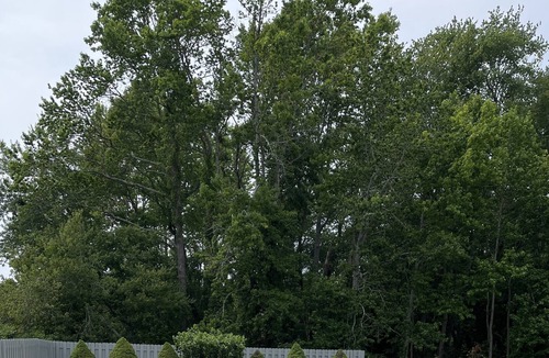 Green Creek Other | Farmhouse, close to all Wildwood and Cape May Boardwalks. unlimited parking.