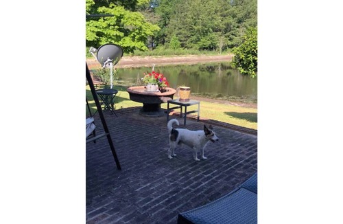 Hartsville House | Fishing paradise!