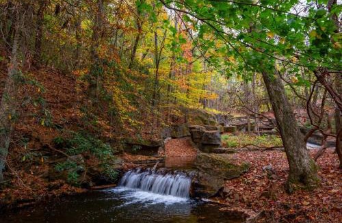 Big Canoe House | Forest Footprints in Big Canoe