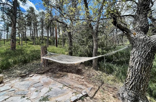 Hermosa Cabin | Gold Miner At Gold Creek Rustic Lux Cabin Near Mt. Rushmore & Custer State Park