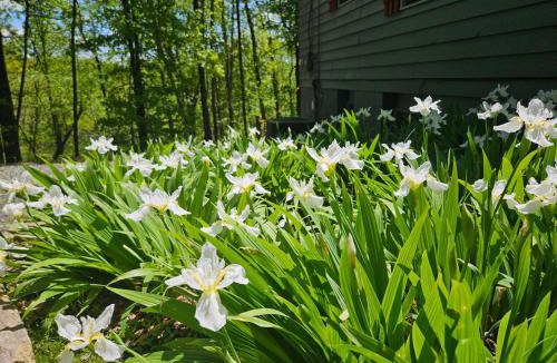 Deep Gap House | Hawk Ridge Haven - Powder Horn Mountain