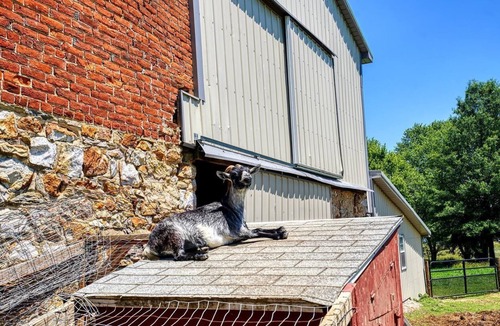 Kemblesville Apartment | Historic charm, all new amenities at Swallow's Rest: East