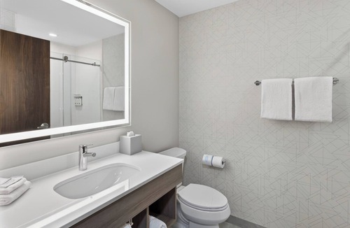 Oak Park Hotel | Holiday Inn Express and Suites Chicago West Oak Park by IHG