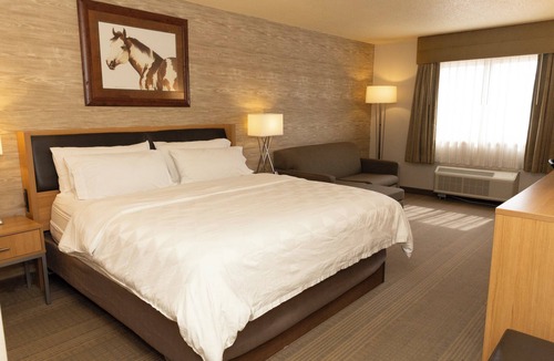 Spearfish Hotel | Holiday Inn Spearfish - Convention Center by IHG