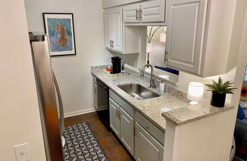 Auburn House | JET'S HANGAR: WALKABLE, PET-FRIENDLY, RENOVATED Game Day Townhome!