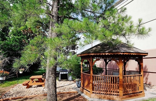 Ashley Oaks Hotel | Knoxville Adventure! 4 FIDO-friendly Units with FREE Parking & Private Kitchen!
