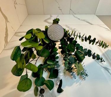 North Bergen House | La Suite De Carlo
