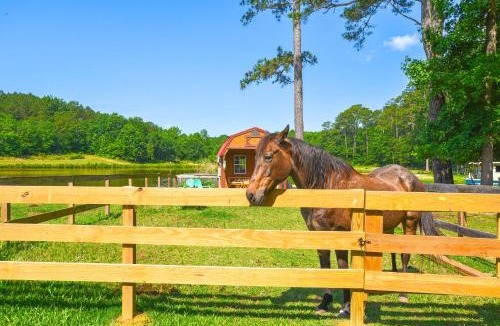 Benson House | Lakeside Farm Sanctuary! 30-Acre Benson Retreat