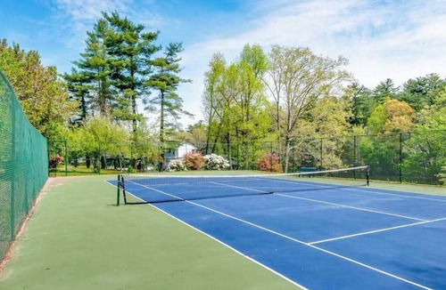 Flat Rock Condo | Lakeview pet friendly studio with pool, fire pit, canoes & paddle boats, & WiFi