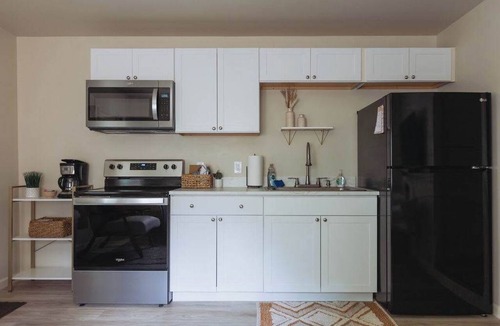 Johnson City Apartment | Lamont 2 1Bed Pet-Friendly Apt