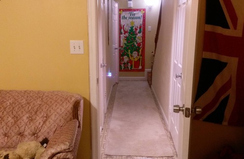 Montgomery Village House | Large Furnished Basement Room